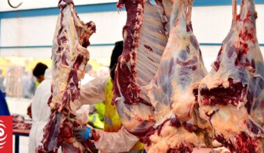 Documents reveal NZ quietly axed Pacific migrant worker programme in favour of high-cost seasonal visas