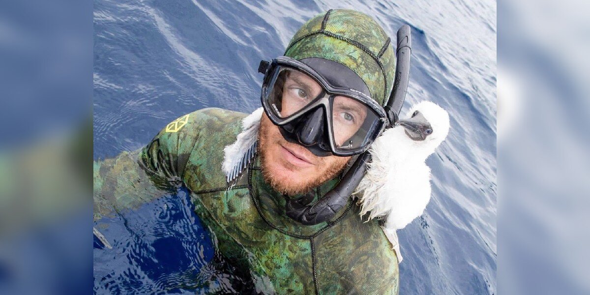 Diver Feels 'Touch' On His Shoulder And Realizes A Baby Bird Is Cuddling Him