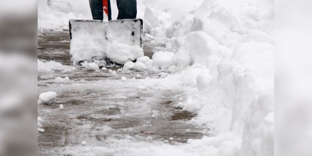 Man Shoveling Driveway Finds Huge Lizard Buried Under 20 Inches Of Snow