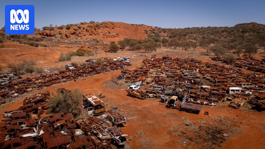 Mimili artists talk of Country, community, survival in remote APY Lands