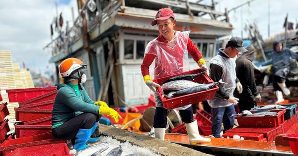 US bans import of seafood from 12 Vietnamese fisheries from January 1