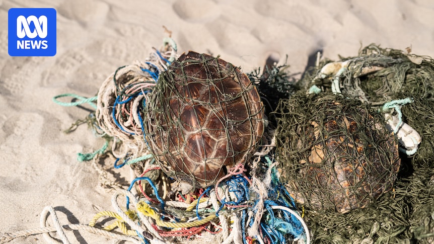 Front lines in 'ghost net' war expand to Australia's north with $25m funding boost