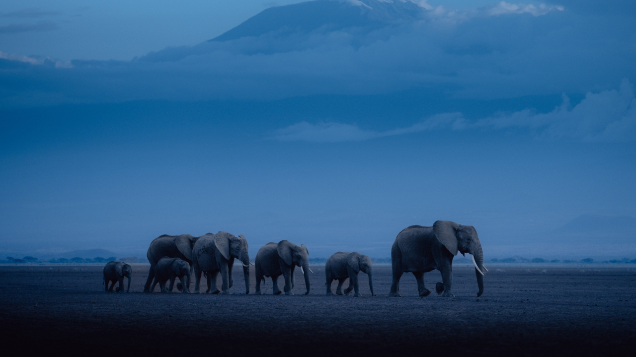 Migration Is Natural. Only Humans Criminalize It.