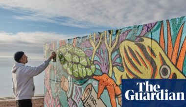 UK urged to ratify high seas treaty to avoid being shut out of Ocean Cop summit | Marine life