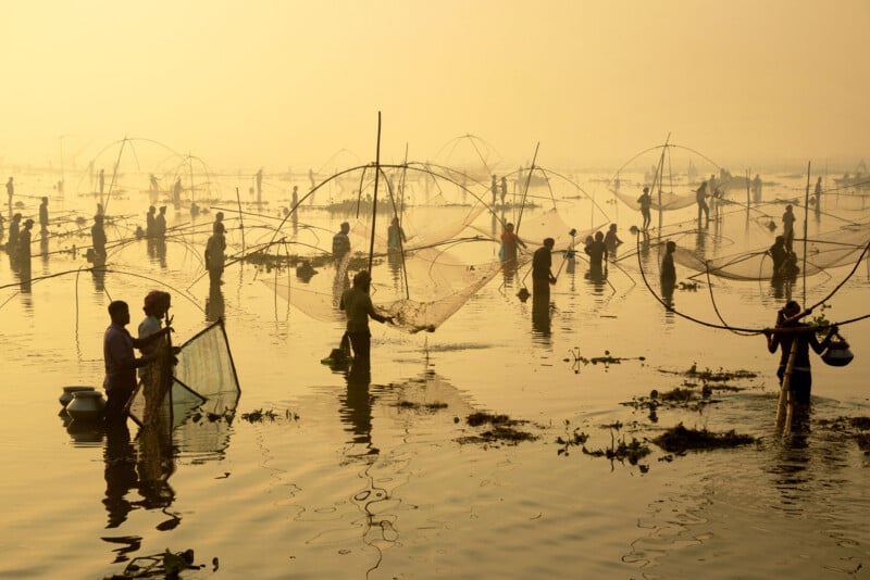 People standing in shallow water at sunset, using large fishing nets on bamboo frames. The warm light and mist create a golden atmosphere, with multiple groups fishing together across the scene.