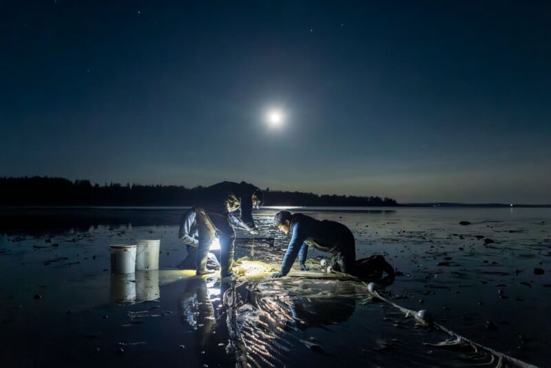 Three people work on a beach at night under a bright moon, illuminated by a portable light. Buckets and equipment are nearby, and the wet sand reflects the moonlight. A forest is visible in the background.