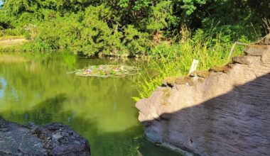 Natural sunscreen found hidden in hot springs bacteria