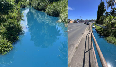 Public warned to avoid Nabua stream after toxic discharge kills eels