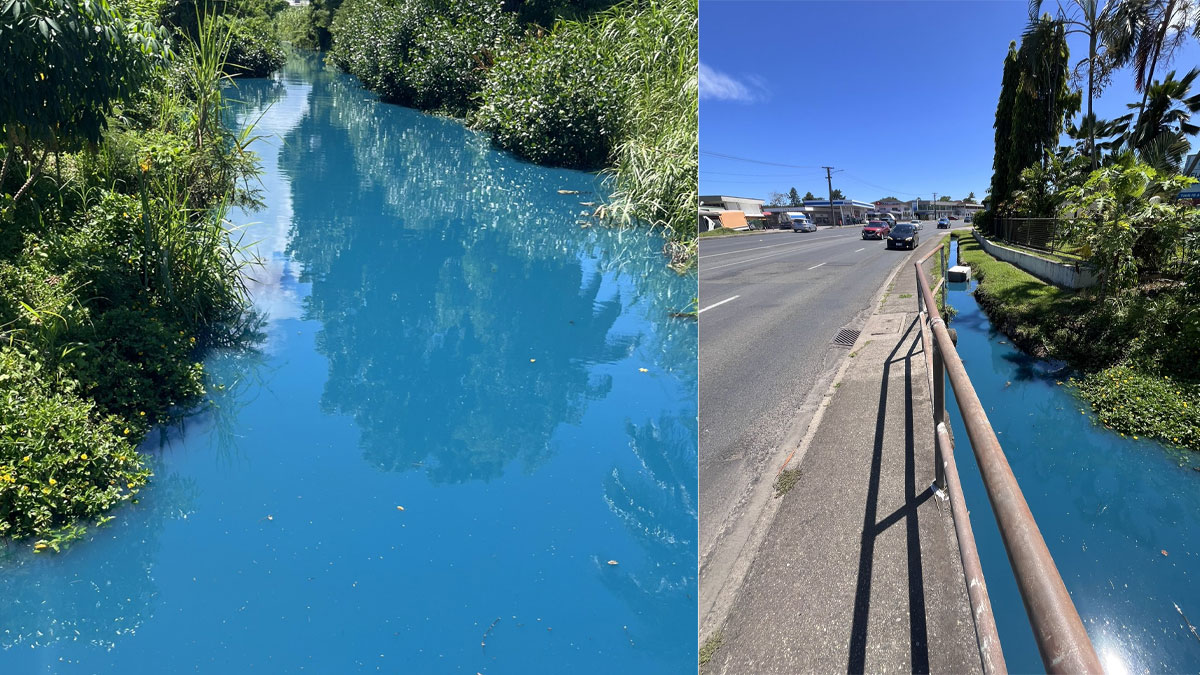Public warned to avoid Nabua stream after toxic discharge kills eels