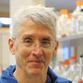 Eric Gouaux, Ph.D. (OHSU) Eric Gouaux, Ph.D., has short white hair, a blue jacket and is smiling in his lab.