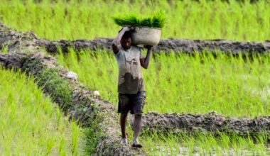 Farmers look to Budget 2026-27 for relief and guarantees