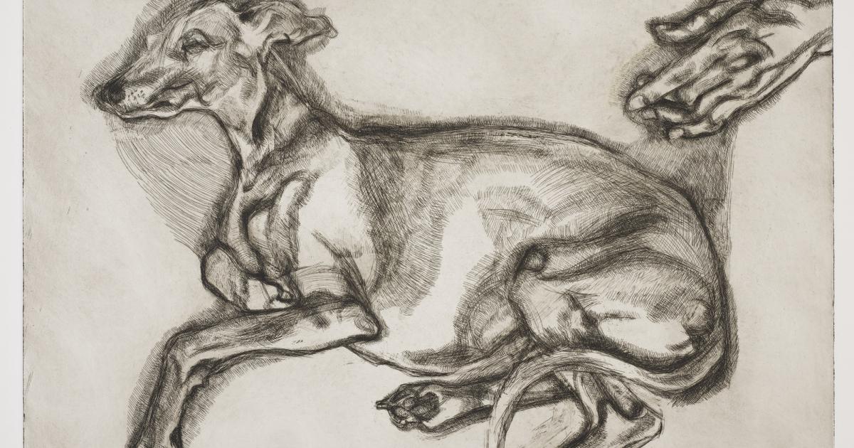Rare Lucian Freud etchings going on public display in Dorset