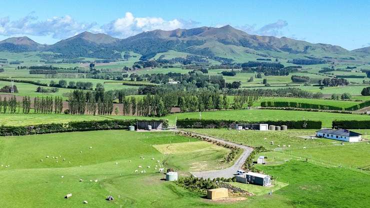 The two-bedroom crib on Neva Street, in Fortrose, Southland, was snapped up by buyers from Invercargill. Photo / Supplied