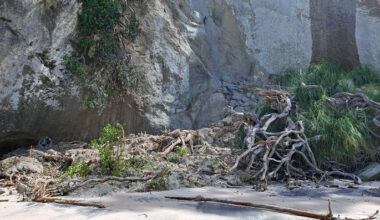 SunLive - Fresh slips: Cathedral Cove tracks shut again