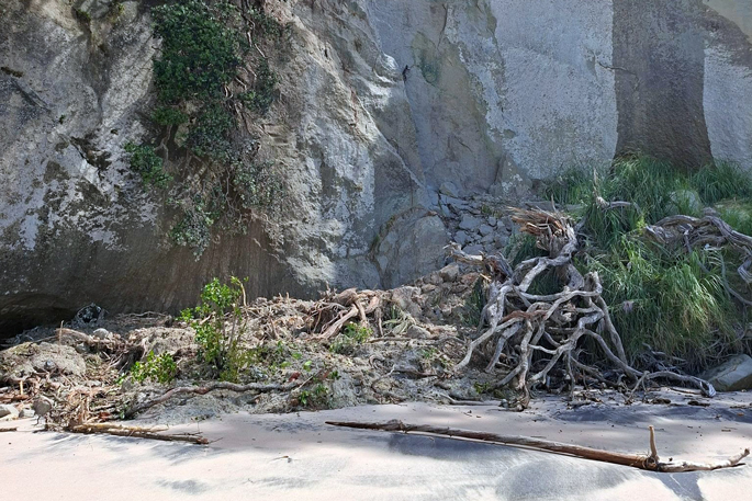 SunLive - Fresh slips: Cathedral Cove tracks shut again