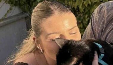 Renters ‘helpless’ as some landlords ignore new pet rules