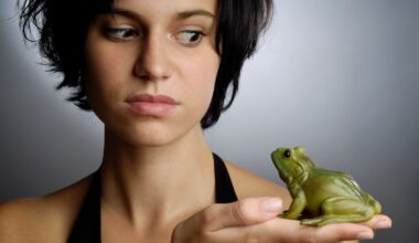 How to deal with stress in 2026: first ‘swallow the frog’