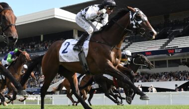 Karaka Millions: Tuxedo dressed to impress as he storms to Aotearoa Classic glory