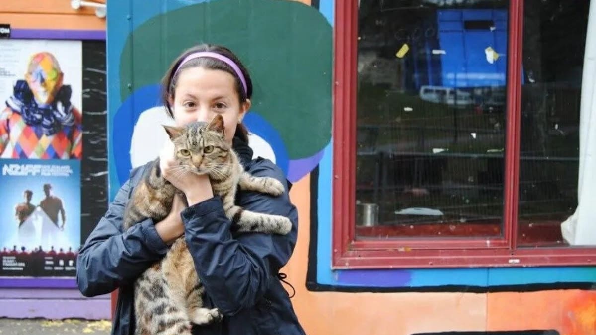 Lola the Aro Park cat mourned as Wellington locals share memories