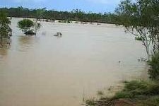 rising muddy river with trees in foreground and background