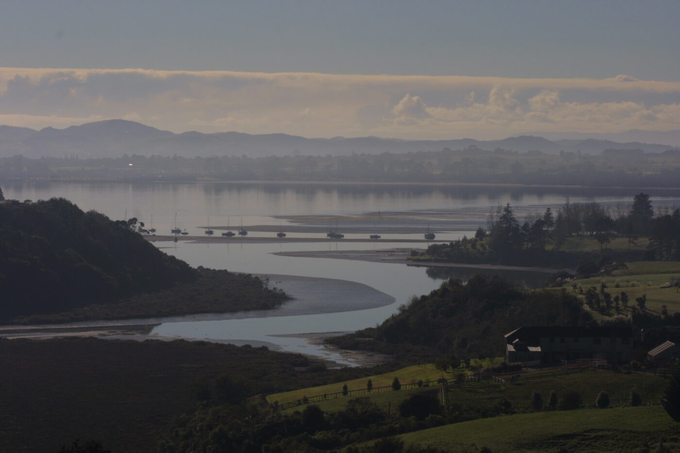 Research highlights impact of heatwaves on estuaries