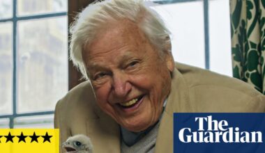 Wild London review – honestly, telly does not get any better than this | David Attenborough