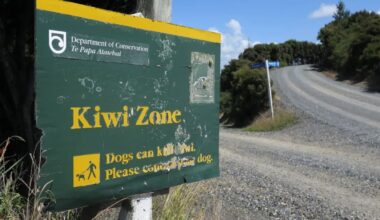 Death of Bay of Islands kiwis investigation continues with two dogs seized
