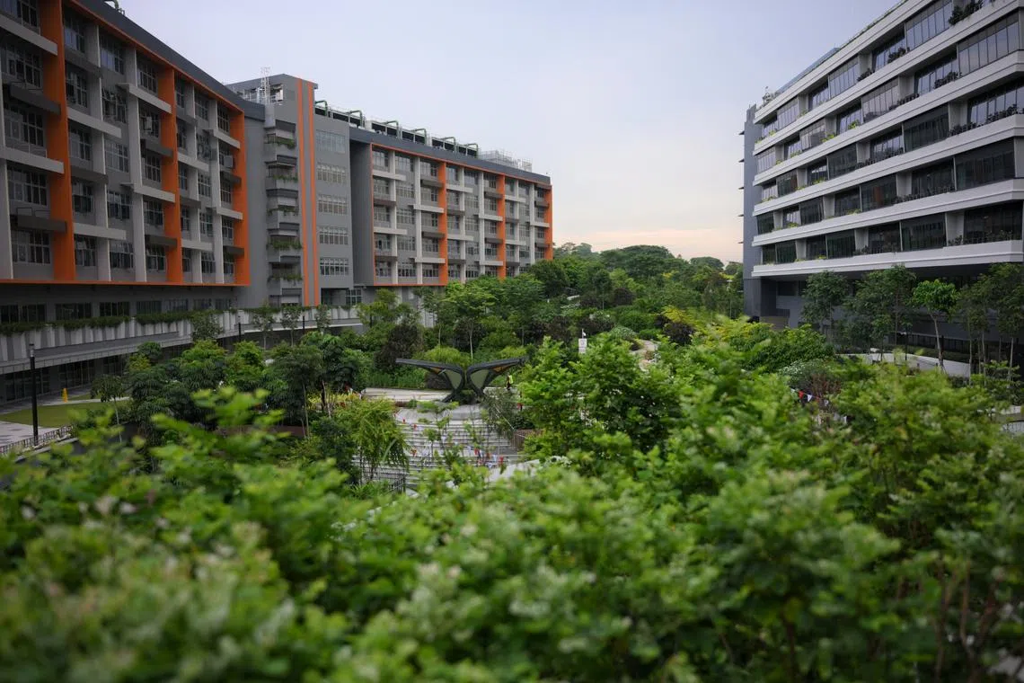 Subscribe Placeholder