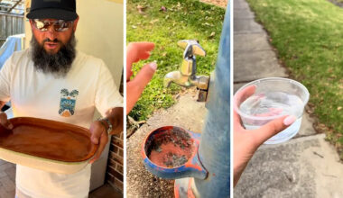 Aussies urged to make simple backyard change this week to avoid heatwave stress