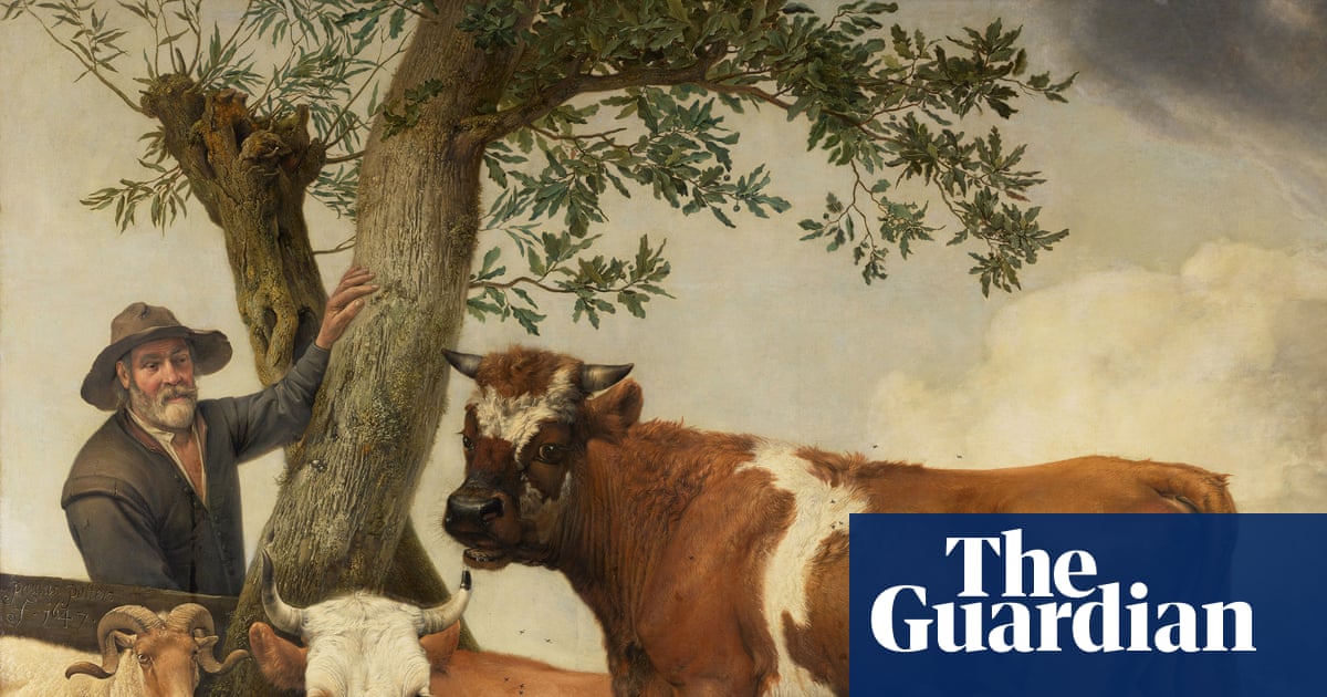 ‘Bigger and lower’: bull in Dutch painting once had much larger testicles | Netherlands
