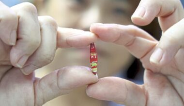 Malaysian crafter turns recycled paper into stunning accessories