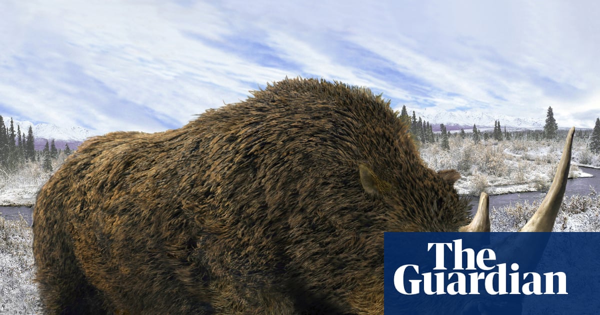 Wolf’s dinner preserved in Siberia for 14,400 years sheds light on woolly rhino | Extinct wildlife