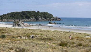 Eastern region surf lifeguards rescue 25 people on New Year’s Day