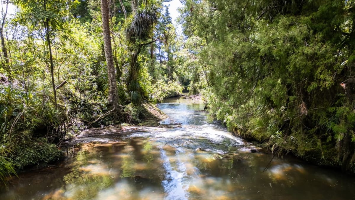 Family found body of Tekanimaeu Arobati, man swept away by Mahurangi River
