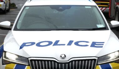 Cyclist dies in early-morning crash on State Highway 2 in Dannevirke