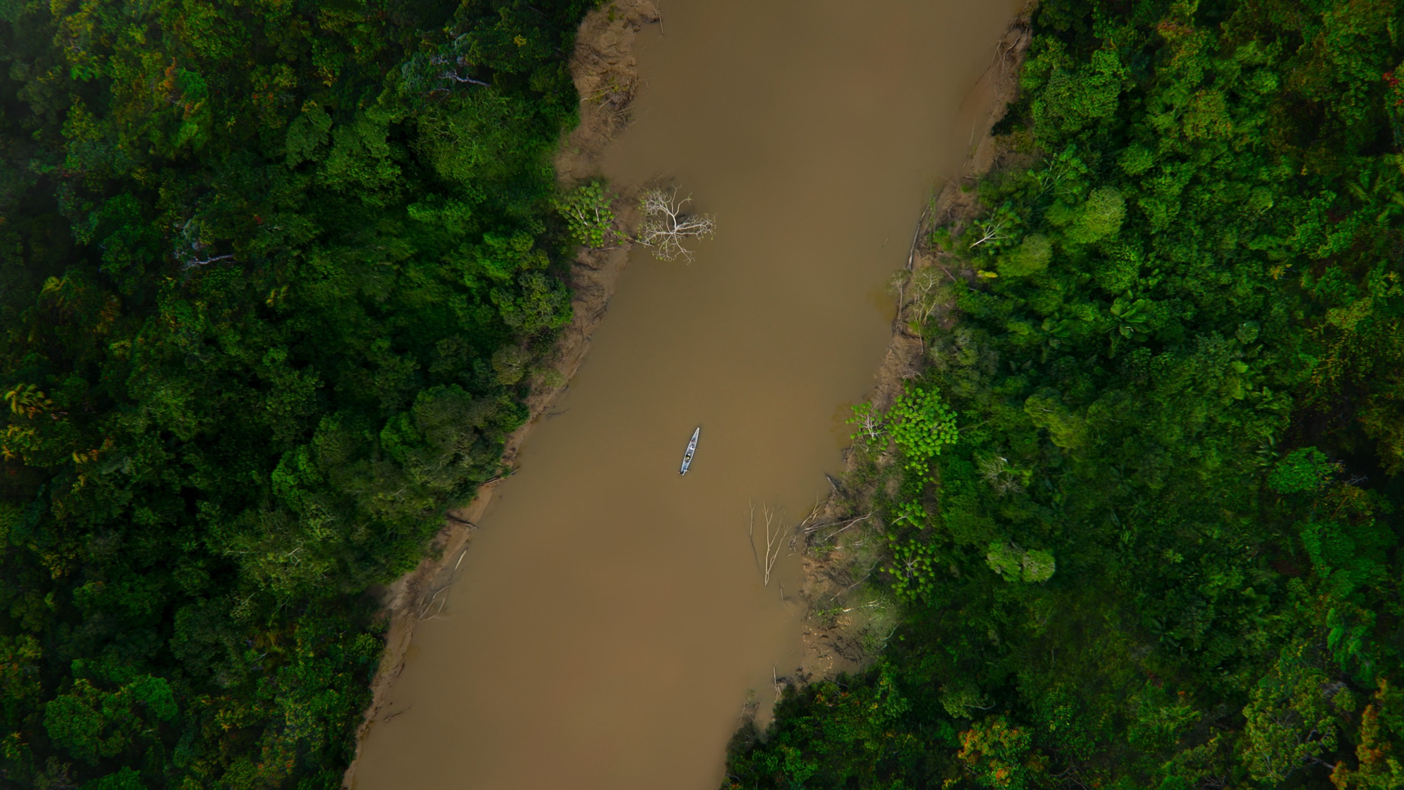 Aerial shot of a river in the Amazon rainforest with a boat.