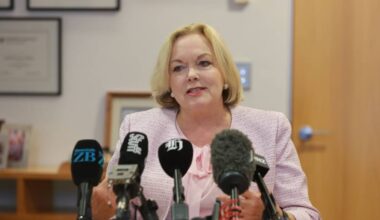 Minister and former National leader Judith Collins retires from politics