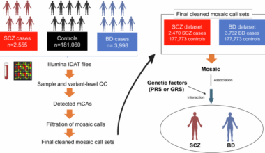 Associations between mosaic loss and schizophrenia or bipolar disorder of young age