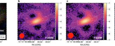 JWST interferometric imaging reveals the dusty torus obscuring the supermassive black hole of Circinus galaxy