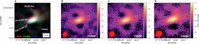 JWST interferometric imaging reveals the dusty torus obscuring the supermassive black hole of Circinus galaxy