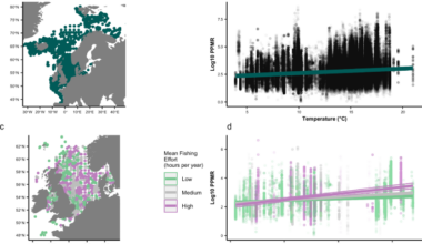 Commercial fishing amplifies impacts of increasing temperature on predator-prey interactions in marine ecosystems