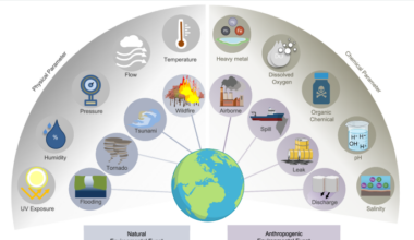 Distributed multitudes of bio-inspired, biodegradable Lagrangian sensors for environmental sustainability