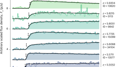 A dense web of neutral gas in a galaxy proto-cluster post-reionization