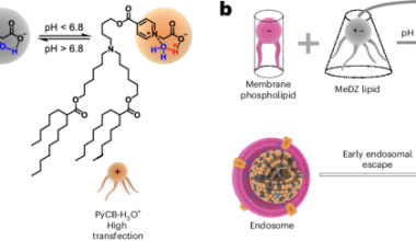 Zwitterionic lipid design enhances mRNA cancer vaccine efficacy and reduces reactogenicity