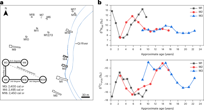 Ancient DNA and isotope data reflect social diversity in an Eastern Zhou cemetery