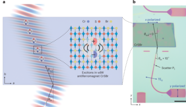 Excitonic negative refraction mediated by magnetic orders