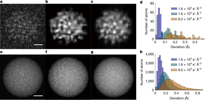 Accurate determination of the 3D atomic structure of amorphous materials