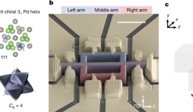 A chiral fermionic valve driven by quantum geometry