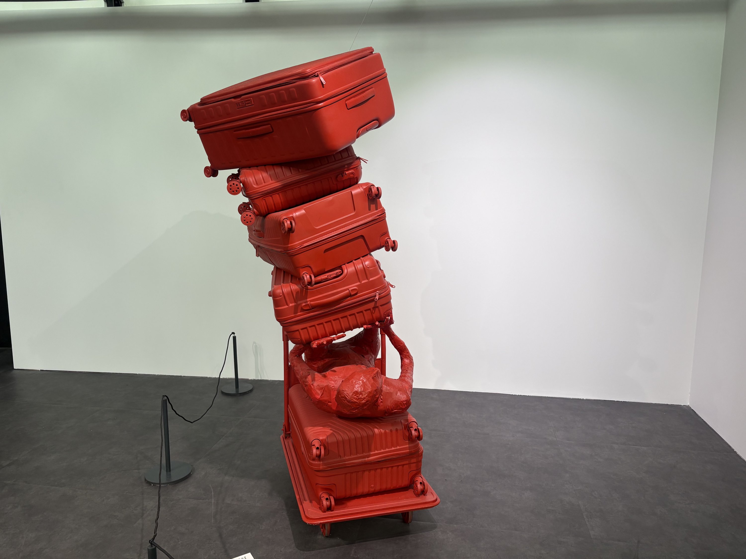 An artwork by Beyazıt Öztürk from the “Things” exhibition at Istanbul Airport, Istanbul, Türkiye, Jan. 22, 2026. (Photo by Funda Karayel)