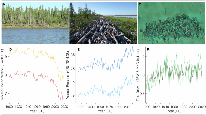Arctic driftwood proposal for durable carbon removal